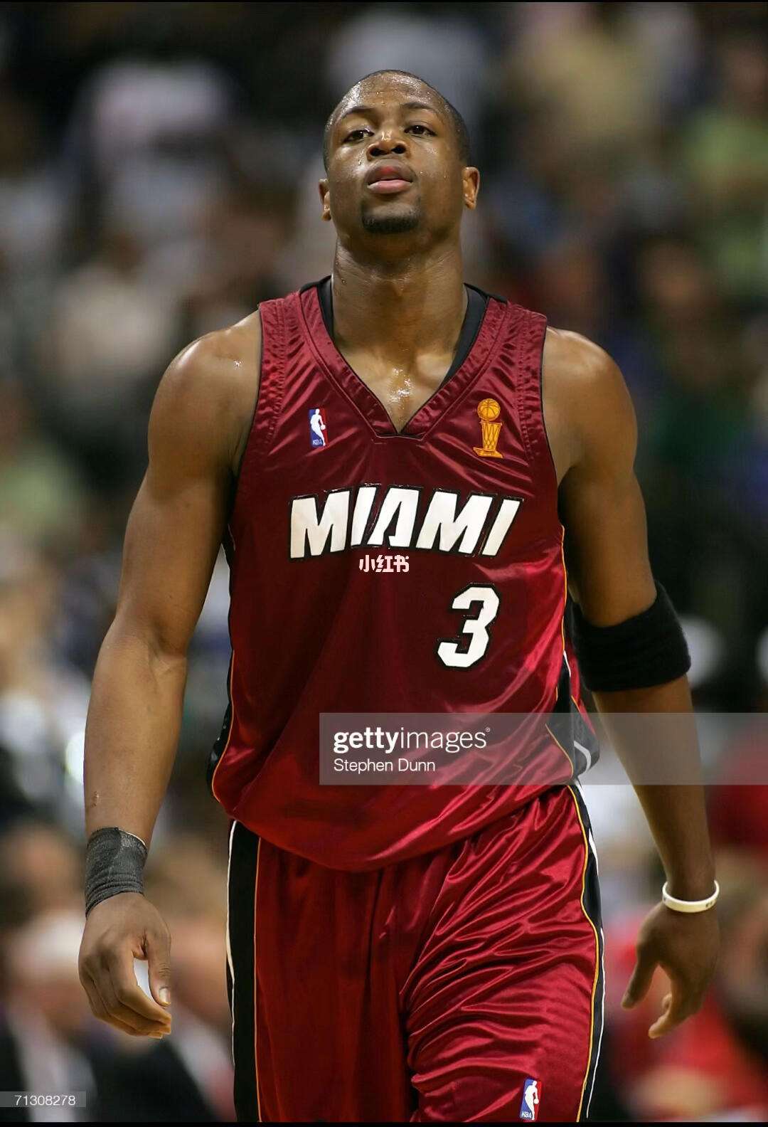 必立刻写进 必立刻写进