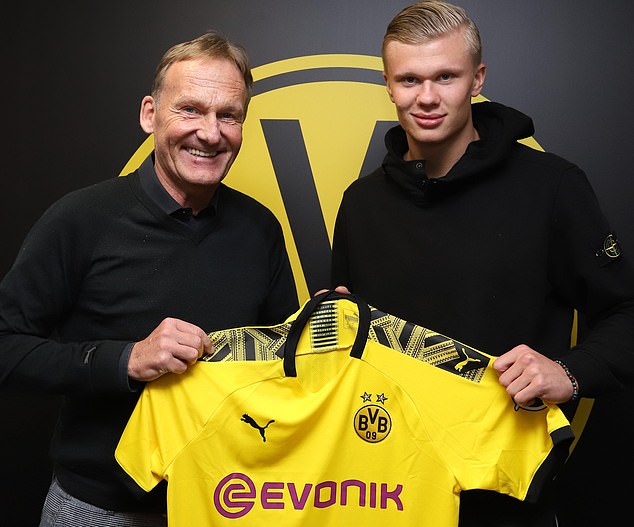 与自然融入 与自然融入